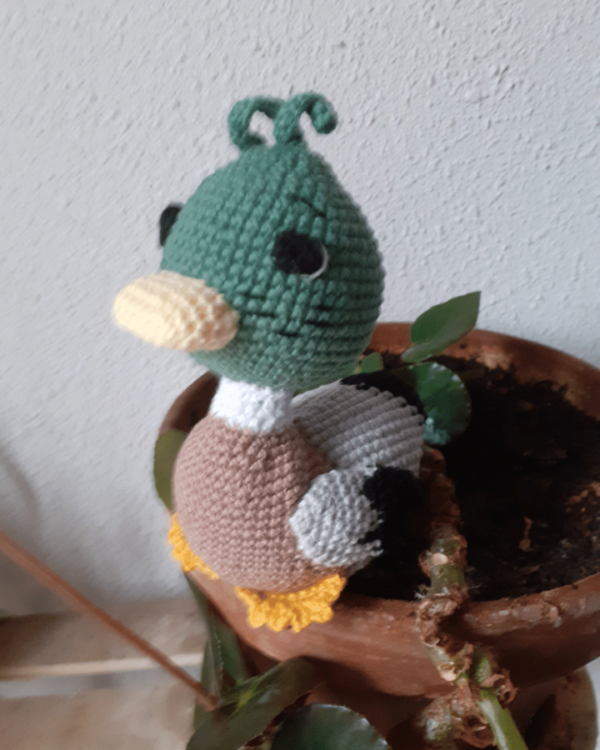 Canard Colvert crocheté